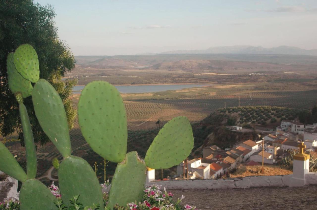 Casa Rural Maestre Vilches エクステリア 写真