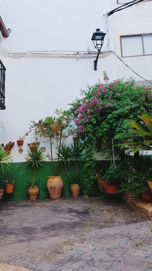 Casa Rural Maestre Vilches エクステリア 写真